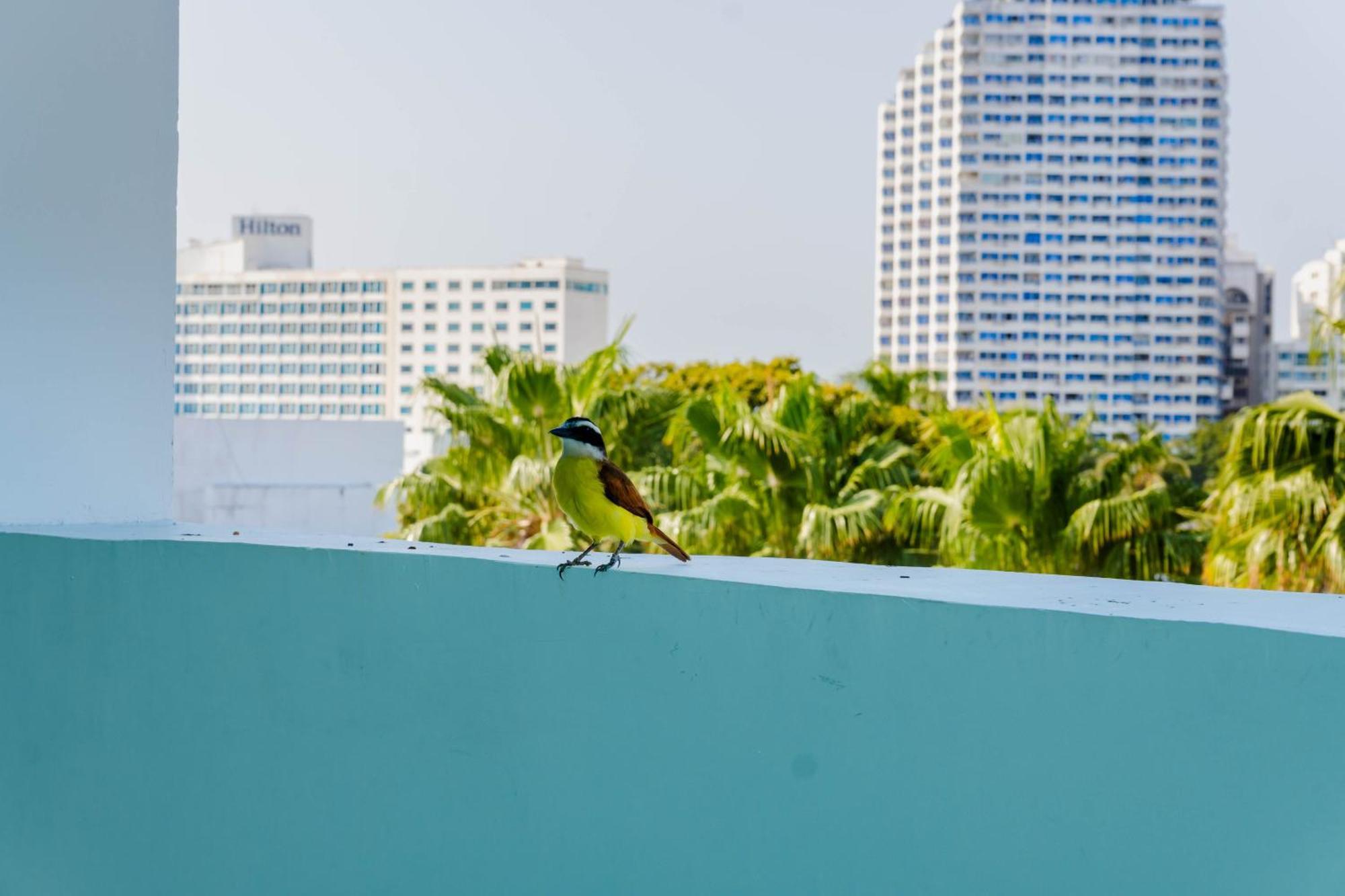 Hotel Coral Reef Cartagena Exteriér fotografie